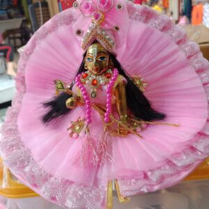 Kanha's Pink Net Dress